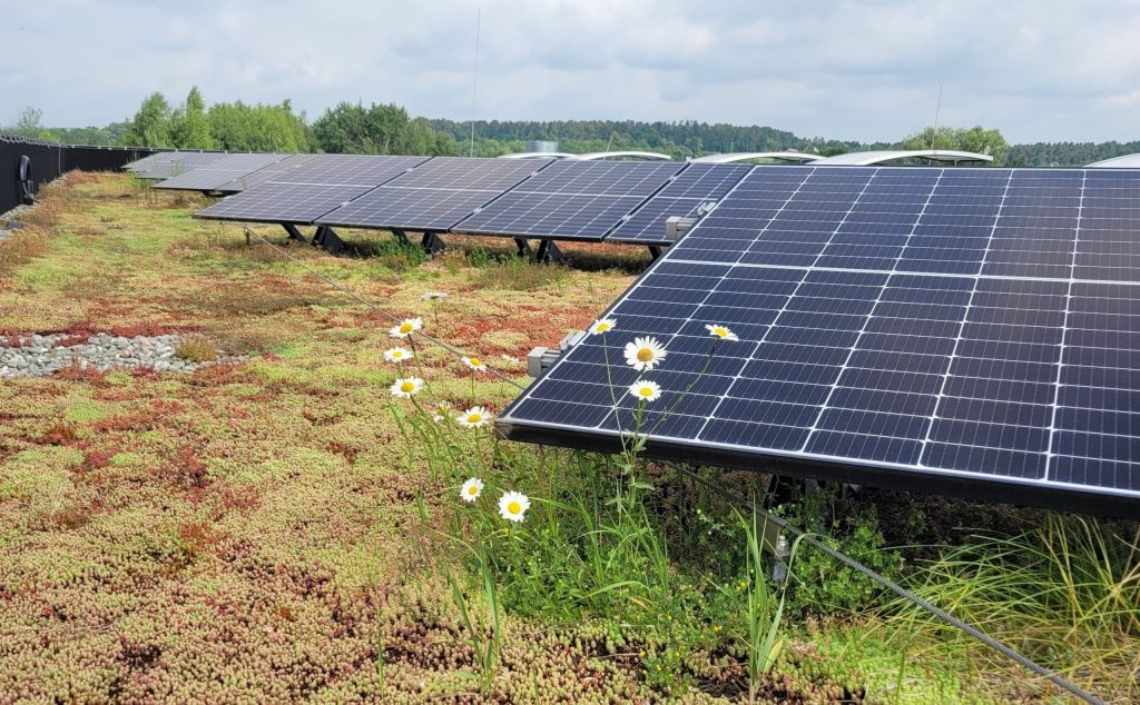 Dach biosolarny na obiekcie biurowo-magazynowym